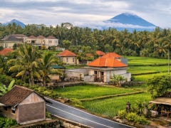 Bodybuilder training at gym-first hotel Ubud