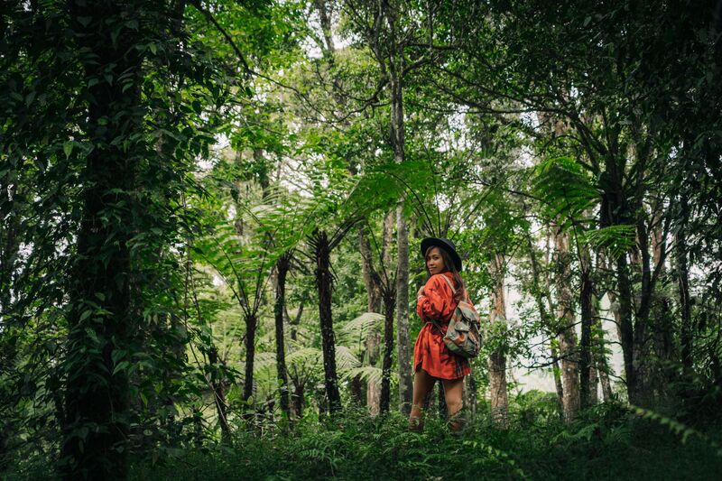 Campuhan Ridge Walk, Ubud, Bali
